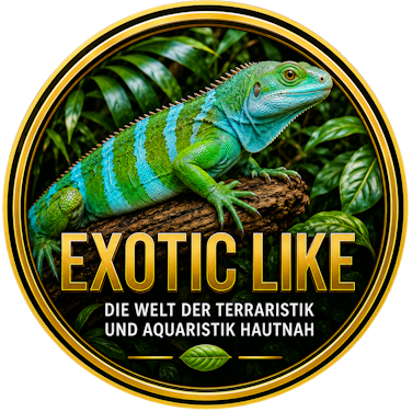 Exotic Like